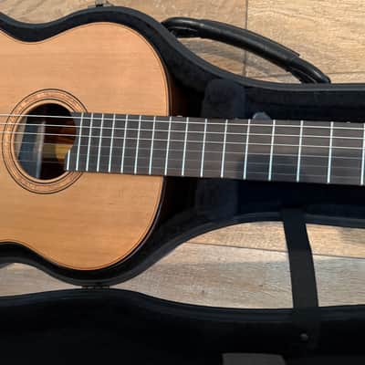 Giussani Messala 2025 - Western Red Cedar Indian Rosewood Ebony image 18