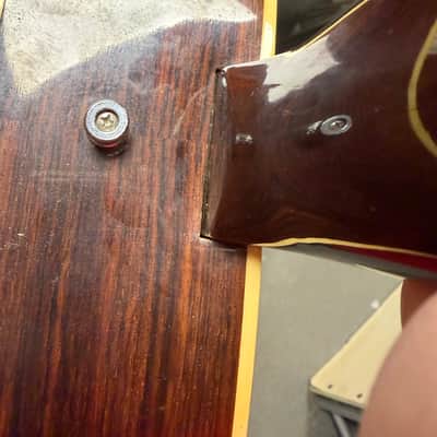 Epiphone FT-135 Cortez DeLuxe 1971 - 1979 - Natural image 5