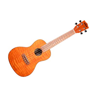 Exotic Mahogany Concert Kala image 6