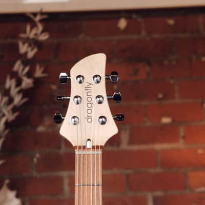 Dragon Fly Border B6 Custom - Great Bass VI! image 4