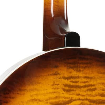 Epiphone Earl Scruggs Golden Deluxe Banjo - Banjo image 7