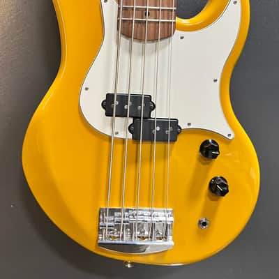 Alien Audio Constellation 5 string p bass Constellation 5 P bass image 3