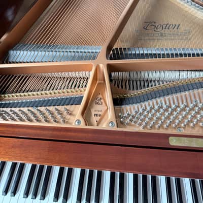 Immagine Boston GP163 2023 - Polished Mahogany - 5