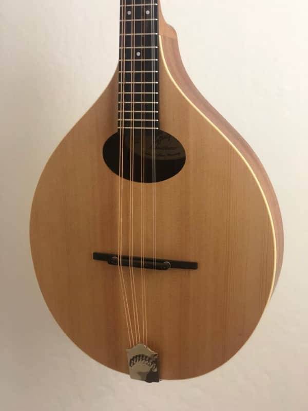 Lafferty Octave Mandolin image 1
