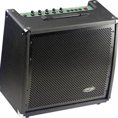Stagg 60 BA USA Metal Front Grille 60 W RMS Bass Amplifier Speaker image 2