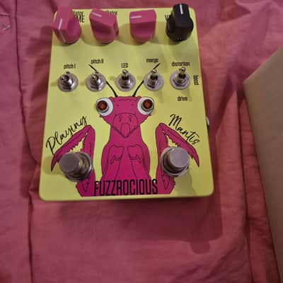 Fuzzrocious Playing Mantis 2019 - Present - Various image 1