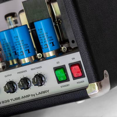 Larry Amplification Dino 939 Dino 939 2015 image 7