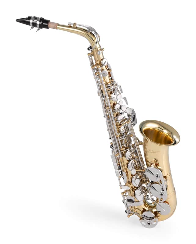 Belsona Alto Saxophone With ABS Case image 1