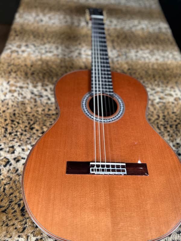 Cordoba C10 CD Cedar Classical Guitar Natural 2025 image 1