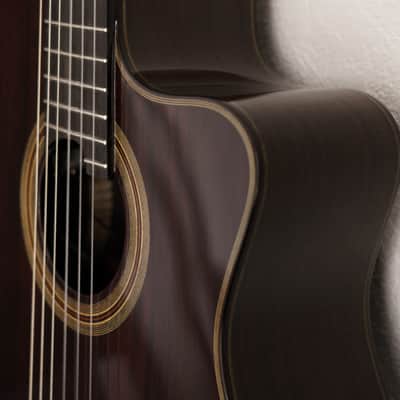 Cordoba  Fusion 12 Rose Classical Acoustic-Electric Guitar image 8