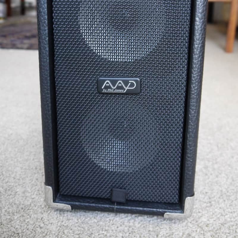 2010 Phil Jones AG-100 ‘The Cub’ Black