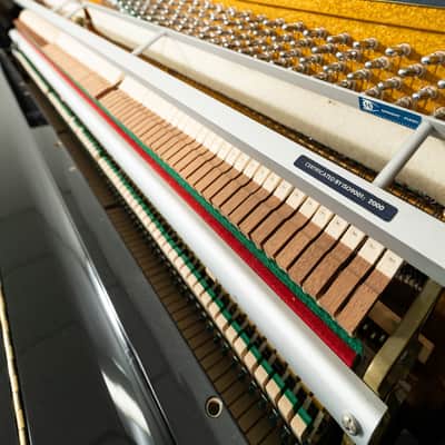 Boston Nordiska 118CG Upright Piano | Polished Ebony | SN: 05891 | Used image 5