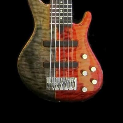 $6500 Amfisound Hellbass 2013 handmade Finland boutique glockenklang ritter custom image 3