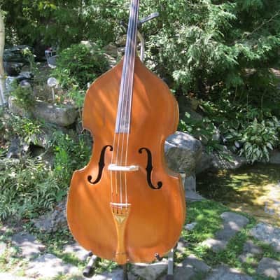 Epiphone Double Bass - B5 1948 natural image 7