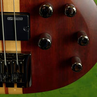 ESP LTD B-5E Neck-thru active 5-string bass (Mahogany top version) image 8
