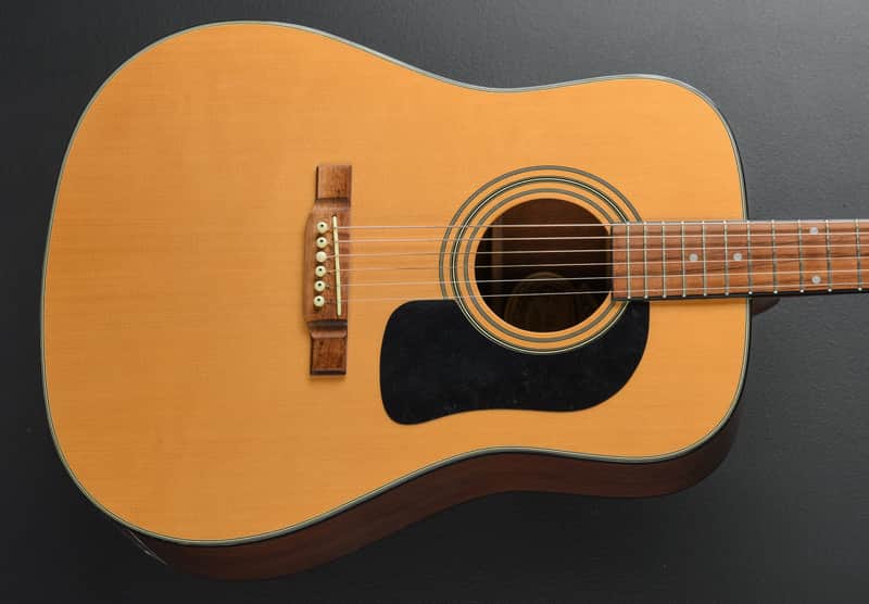 Washburn D-10 '98 image 1