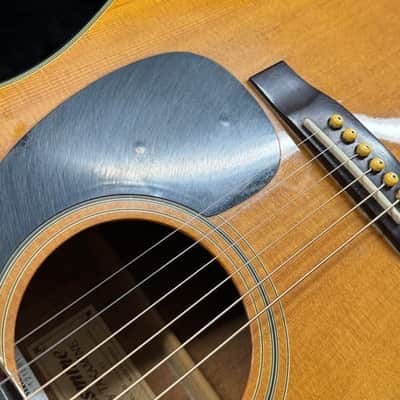 Jasmine by Takamine #S-33 Full-Size Dreadnaught Acoustic Guitar  with Hardshell Case image 11