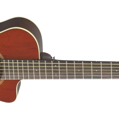 Fender CD220SCE Exotics Ash Burl Acoustic-Electric Guitar | Reverb