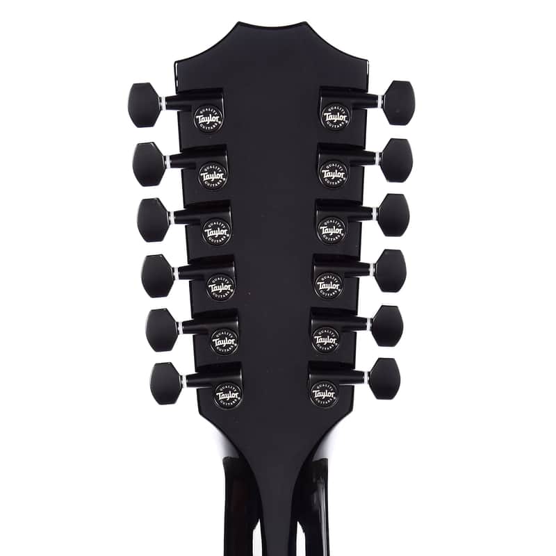 Taylor 250ce-BLK DLX image 6
