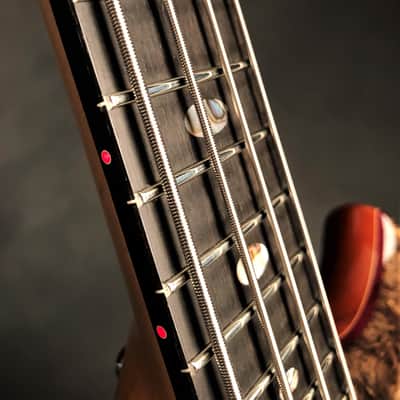 Alembic Stanley Clarke Deluxe - Buckeye Burl image 10
