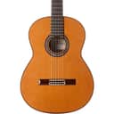 Cordoba C9 CD/MH Acoustic Nylon-String Classical Guitar Regular Natural