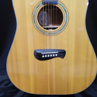 Tacoma DM14C  USA All Solid Wood W/ Hardshell Case - Natural image 2