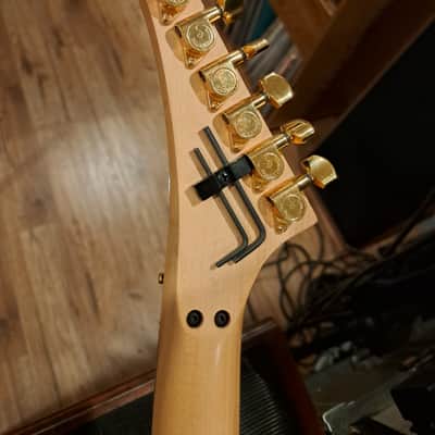 Signature Guitar Co. The Oracle - made famous by Alex Lifeson of Rush image 10