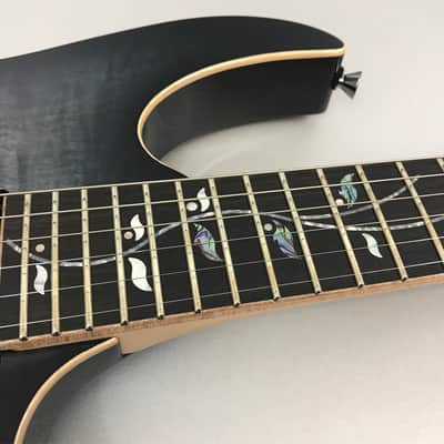 Ibanez RG J. Custom RG8570Z BRE Black Rutile image 11