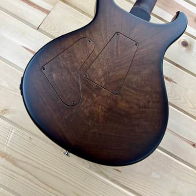 PRS Private Stock  Custom 24 Floyd Birds of a Feather NEW! PS #10796 image 4