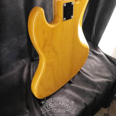 Fujigen(FGN) 2009 NCJB-10 image 9