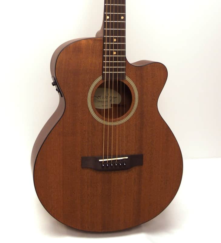 James Neligan Deveron Series DEV-ACFI Grand Auditorium Acoustic-Electric Guitar image 1