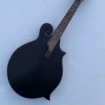 Washburn 8 String Mandolin Project in Black, Solid Spruce Top, Solid Mahogany Body image 7