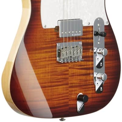 Michael Kelly Hybrid '55 Electric Guitar, Pau Ferro Fingerboard, Tiger Eye Burst image 8