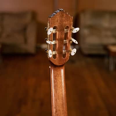 Ortega RCE159MN Performer Series Solid Cedar Top Mahogany Neck Cutaway Nylon 6-String Classical Acoustic-Electric Guitar w/Gig Bag image 19