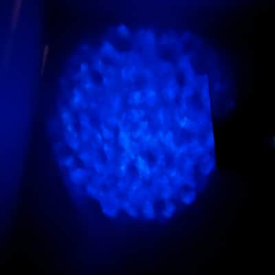 Eliminator Lighting Aqua LED 10-Watt Water/Fire Effect Light 2010s - Black image 5
