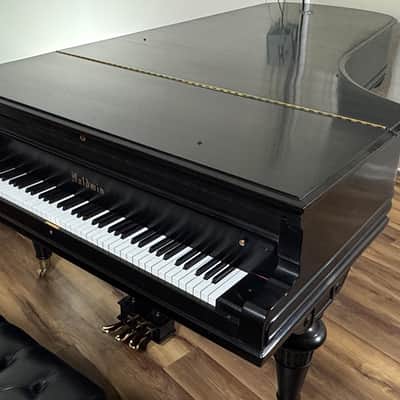 Baldwin D 1901 - Ebony Satin image 13