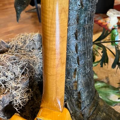 Custom Built Ray Gun J5 Obeche / Maple Burl body Maple / Ebony Neck DiMarzio PUs image 19