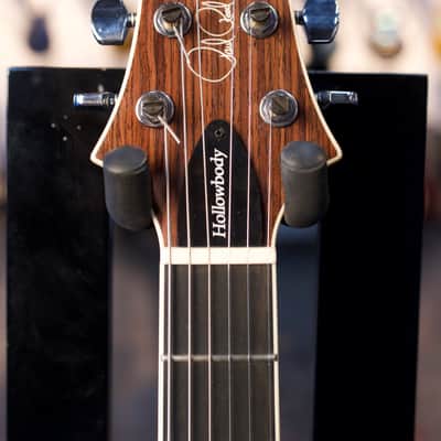 PRS STANDARD HOLLOWBODY PIEZO DOGHAIR SMOKEBURST W/CASE image 3