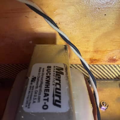 Tungsten Amplification - Buckwheat 112 Combo image 13