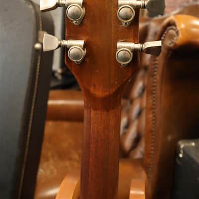 Gibson Firebrand the Paul 1981 Walnut image 6