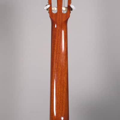 Takamine EC132SCX - Natural image 6