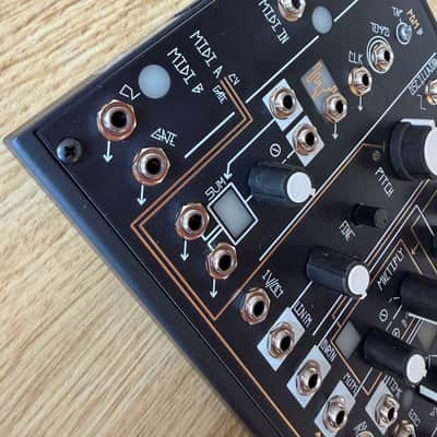 Make Noise 0-Coast Patchable Synthesizer 2008 - Present - Black image 3