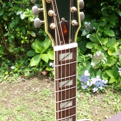 1979 Ibanez Concord J-502BK 12-String Jumbo Late 1970s Black / MIJ Lawsuit Era Vintage + Original Hard Case image 5