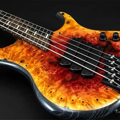 Dingwall Custom Shop Z3X-5 Buckeye Burl Dark Red to Orange RevBurst image 1