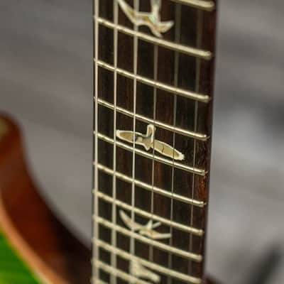 PRS Custom 24 Piezo - Eriza Verde 10-Top image 10