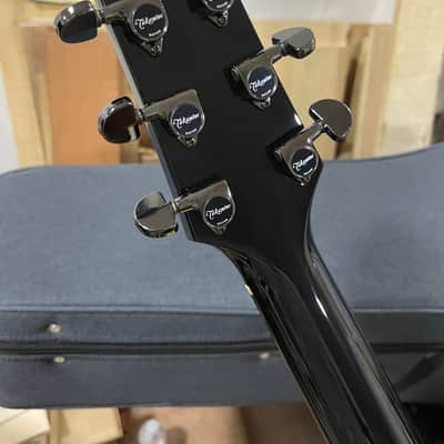Takamine LTD 2007 image 2