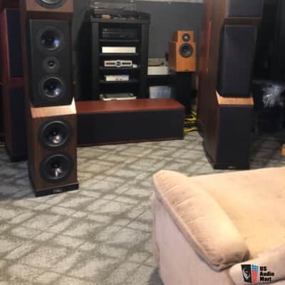 Tyler Acoustics D1x mastering speakers - Dark walnut image 2