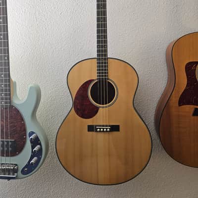 Gold Tone TG-18 Tenor 2010s - Left Handed image 1