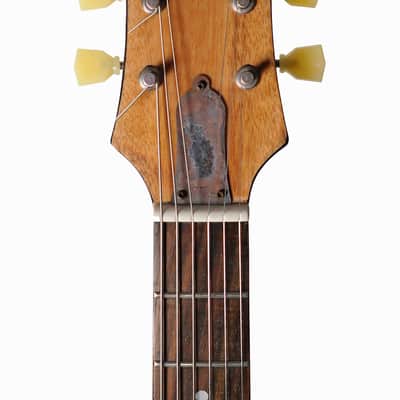 Customized Epiphone Les Paul Special II image 5