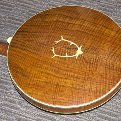 Stelling Staghorn Gold Plated Banjo No. 4510 (c. 1996) image 5